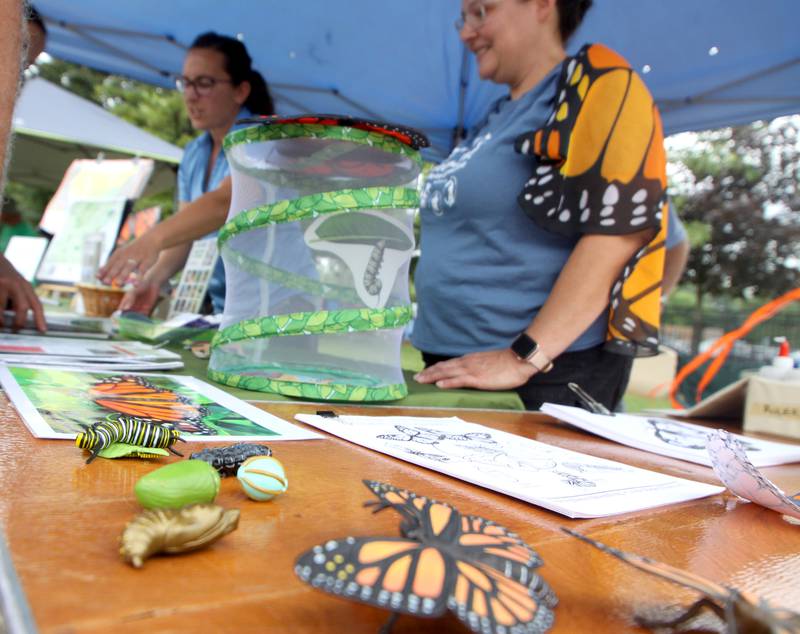 Models of the monarch lifecycle are represented at the McHenry County Conservation District booth as The Monarch Coalition hosted the Monarch Fair at Crystal Lake Main Beach Sunday.