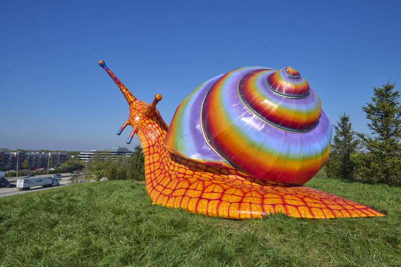 Spectra, a brittle button snail, is one of five large sculptures on display at Morton Arboretum's "Vivid Creatures" exhibit.