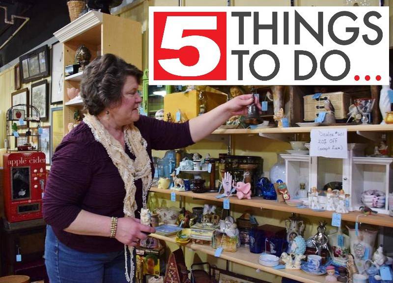 5 things to do in DeKalb County Book sales, vintage shopping, concerts