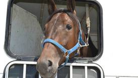 Agreement between solar farm and Yorkville horse trainer in Yorkville moves 20-acre project forward