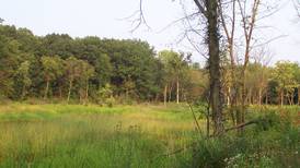 State stewardship grants awarded to natural areas in Whiteside and Ogle counties