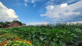The Land Conservancy receives $135,000 grant from Chicago Community Trust