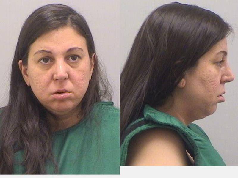 Arin M. Fox, a 39-year-old resident of Algonquin, charged with first-degree murder, possession of a stolen motor vehicle, aggravated battery, and domestic battery in connection with the deaths, according to the news release.