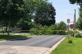 Tree topples in Huntley; road closed, 32 customers without power