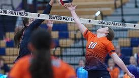 2024 Herald-News girls volleyball All-Area Team
