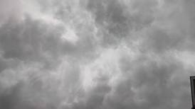 Tornado in Joliet’s far west side caused minimal damage to trees, fences