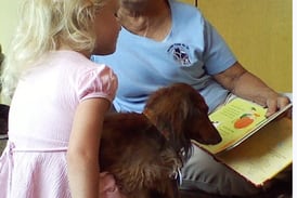 Yorkville Public Library youth programs feature LEGO days, Read with Paws and more