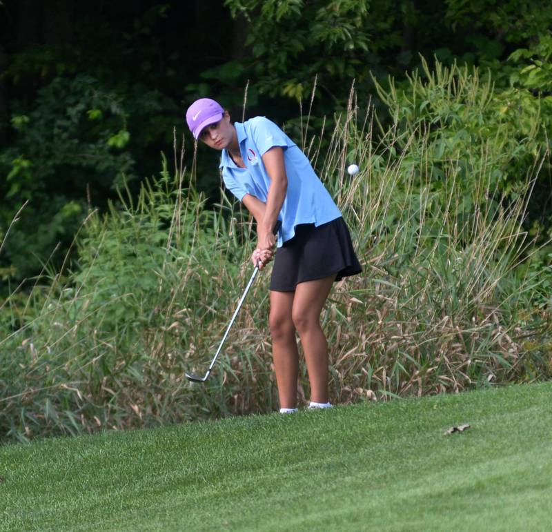 Oregon's Sarah Eckardt chips on to the green during a Monday, Aug. 18, 2025 match with Erie-Prophetstown at Silver Ridge Golf Course north of Oregon.