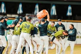 Join the Kane County Cougars and celebrate America’s game