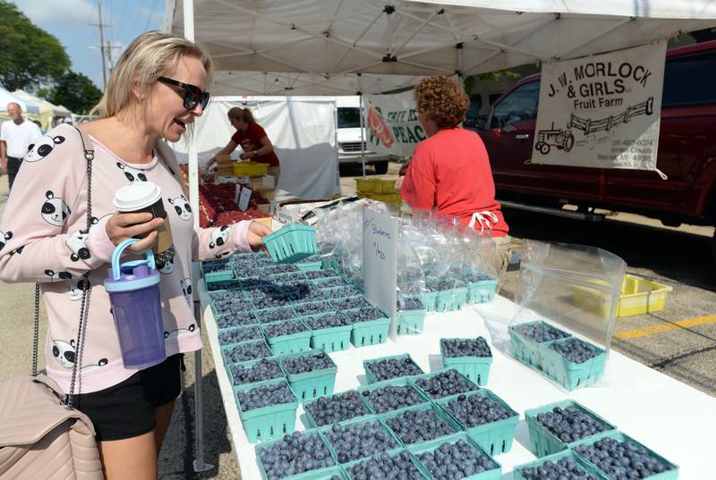 Photos Downers Grove Farmers Market Shaw Local