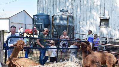 Down on the Farm: Visitors check out furry friends at P&C Little Rascals’ open house in Chadwick