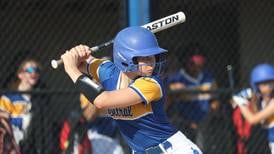 2025 Herald-News Softball Preview Capsules
