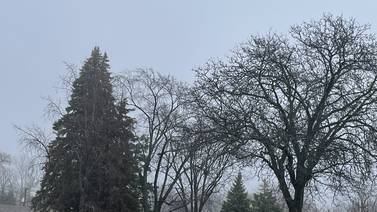 Thunderstorms could lead to hail, damaging winds across parts of northern Illinois