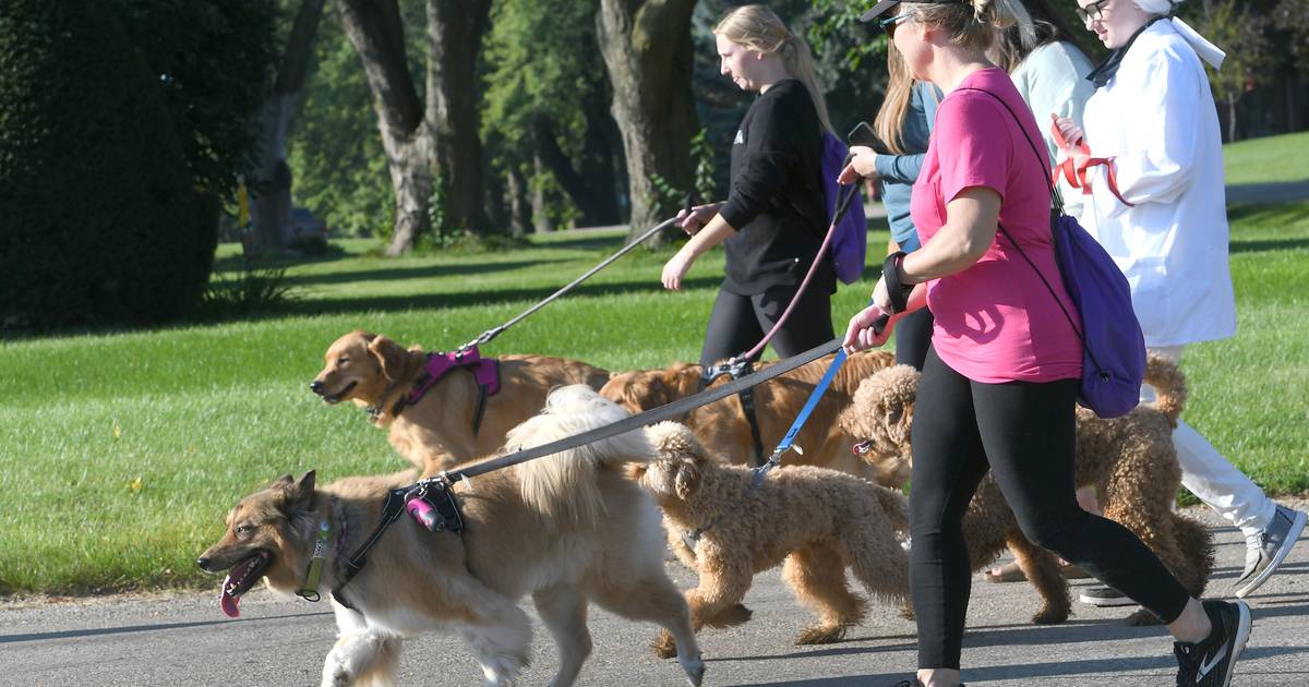 Ruby red sneakers, pants and licks, make Polo Doggy Dash a success