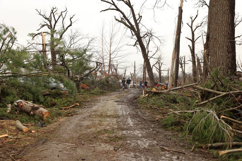 Damage is seen along Elmwood Drive in Aroma Park  on March 11, 2026 following a March 10 tornado that passed through Kankakee County.