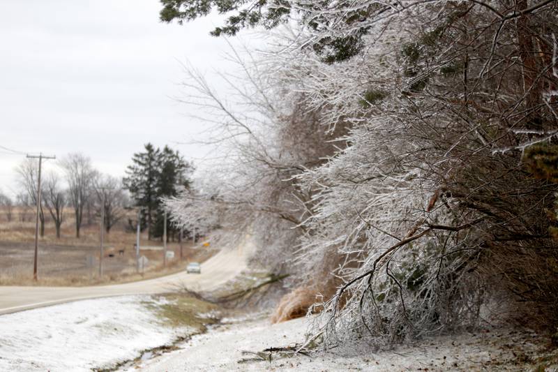 Ice covered trees and dripped from signs in western Kane County after a storm on Thursday, Feb. 23, 2023.