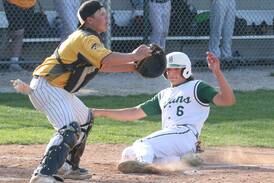 2025 NewsTribune baseball preview capsules: Princeton, Fieldcrest, BV have veteran teams