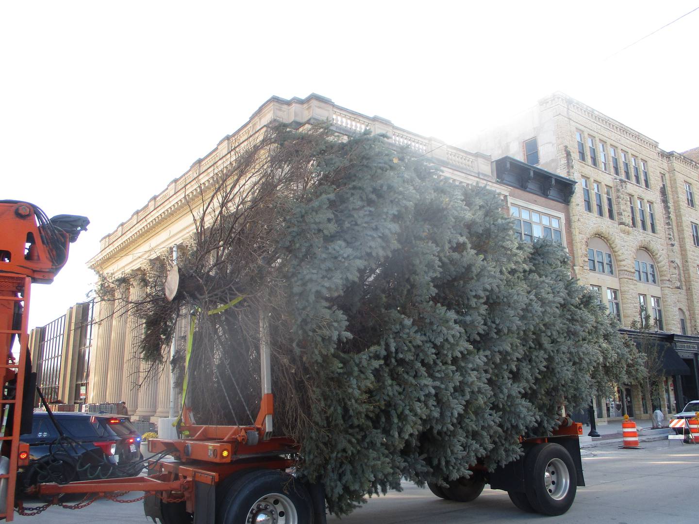 Joliet resident Darra Glavin's Norway spruce arrives in downtown Joliet where it was set up Friday to serve as the city's Christmas tree for the holidays. Nov. 14, 2025