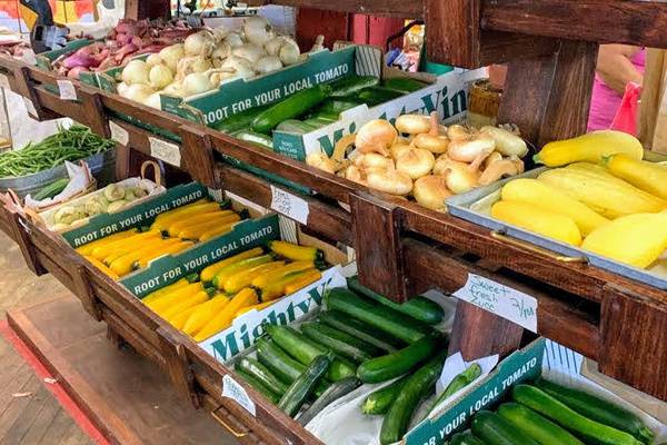 5 Things to Do: Twin Cities Farmers Market, ‘Click Clack Moo’ at The Dixon Theatre and more 