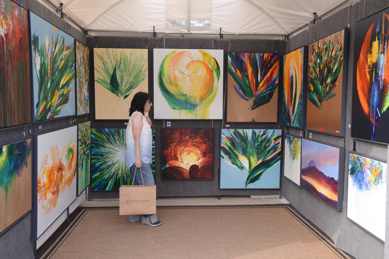 Lee Nemcheck of LaGrange lookat some of the art by Andrew Sechin of Oak Park (not shown) during the West End Arts Festival in LaGrange Saturday, Sept. 21, 2024.