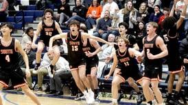 Photos: Wheaton Warrenville South defeat Lake Park in boys basketball