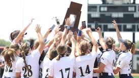 Softball: 5 statistics that stood out in the Herald-News area in 2023