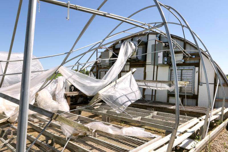 EF0 tornado in Kirkland confirmed as cause of damage to Walnut Grove