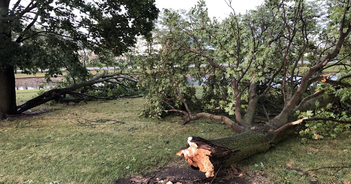 Photos: Storm wallops McHenry County, downs trees – Shaw Local
