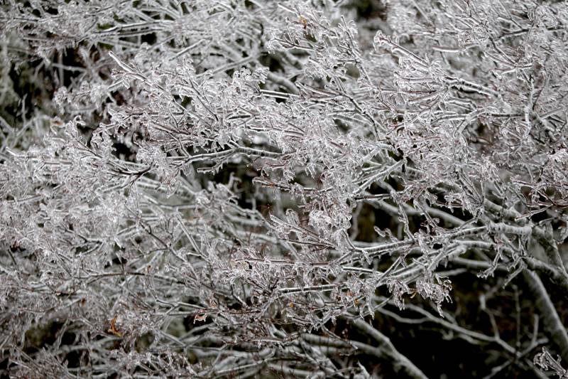 Ice covered trees and dripped from signs in western Kane County after a storm on Thursday, Feb. 23, 2023.