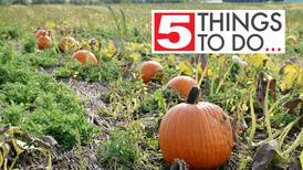 5 things to do in DeKalb County