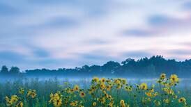 Forest Preserves launches Every Acre Strong campaign
