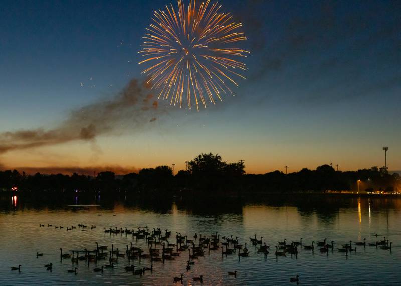 Groups of ducks scatter as fireworks start to burst on June 28, 2025 at Lake Mendota.