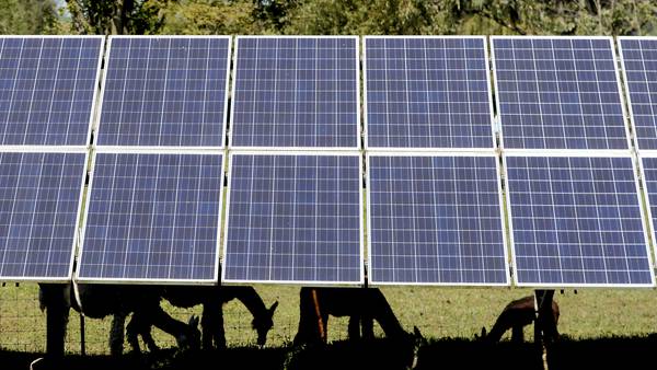 McHenry City Council to send letter to county board opposing solar farm