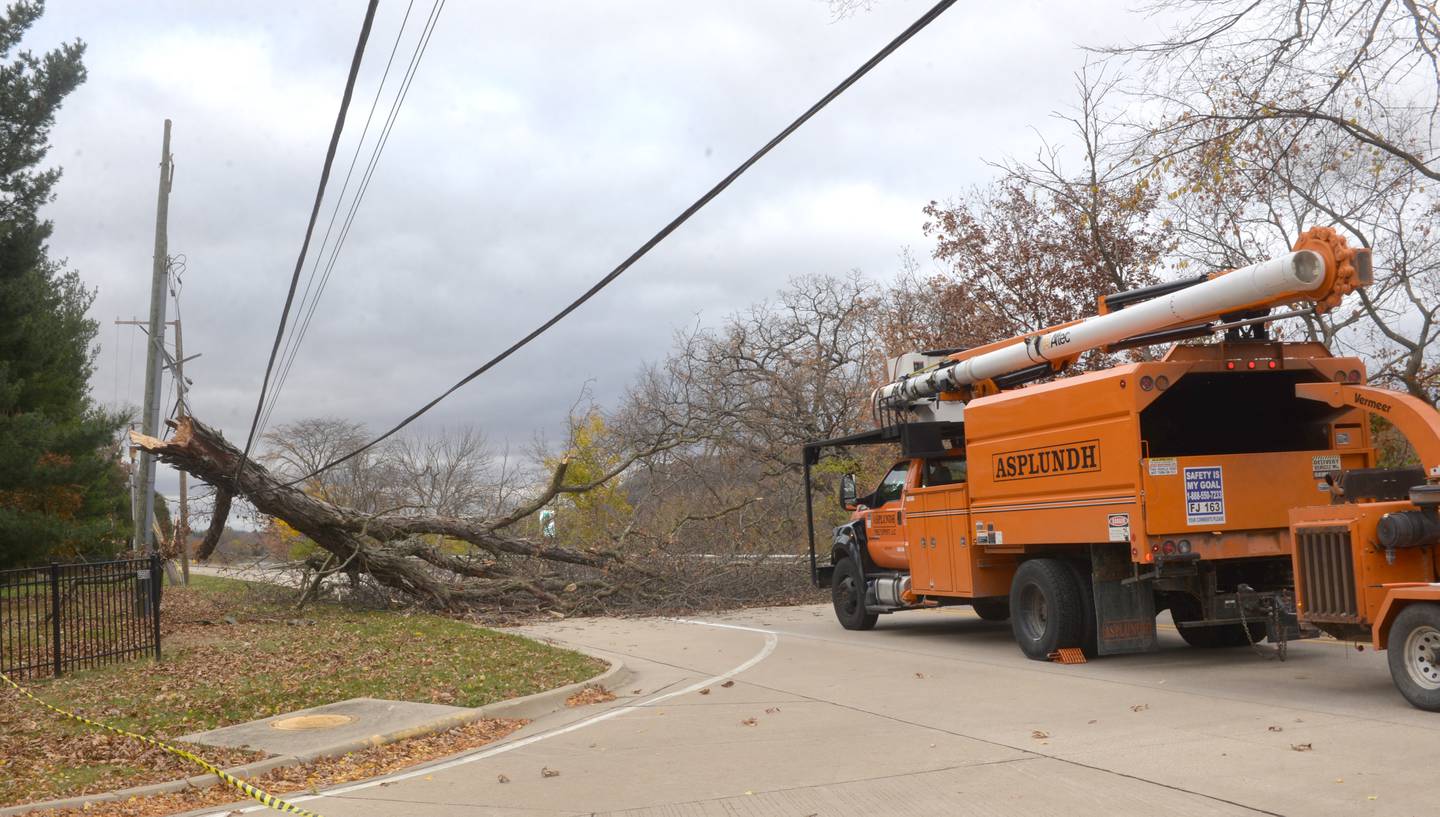 A large tree fell across Illinois Route 2, north of Oregon, on Thursday, Oct. 31, 2024 forcing the closure of the state highway from Fair Street in Oregon north to Margaret Fuller Drive. Crews were waiting at 1:30 p.m. for a crane to arrive to remove the tree. Electricity was knocked out for some residents north of Oregon.