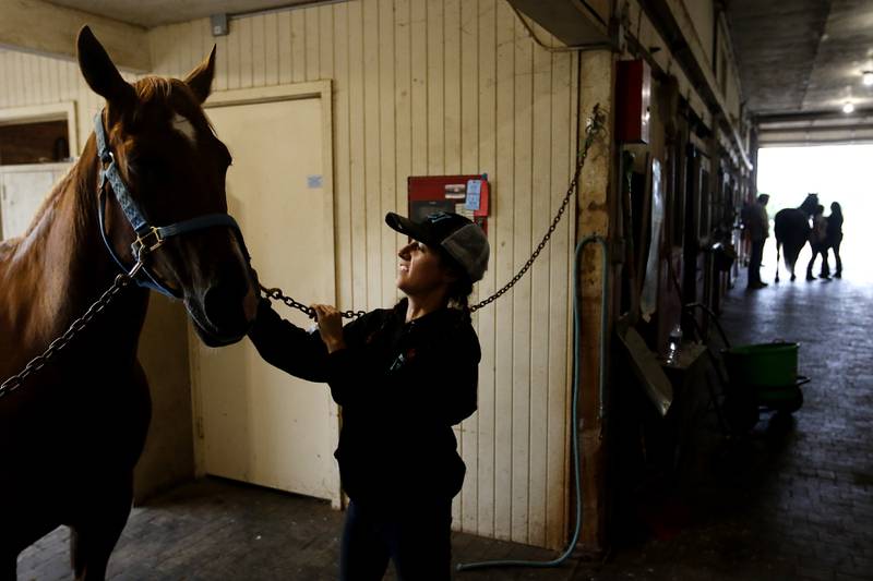 Barn manager Melissa Capra prepares Hunter, a retired Medieval Times horse, for a riding lesson Friday July, 8, 2022, at the R Double J Ranch, 2800 Derby Lane, in McHenry. The R Double J Ranch recently got the contract to operate this equine facility from McHenry with the goal of making it more of a community-centric center and make learning about horses and riding open to all.