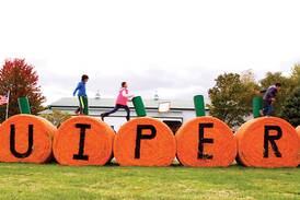 Fun on the farm at Kuipers