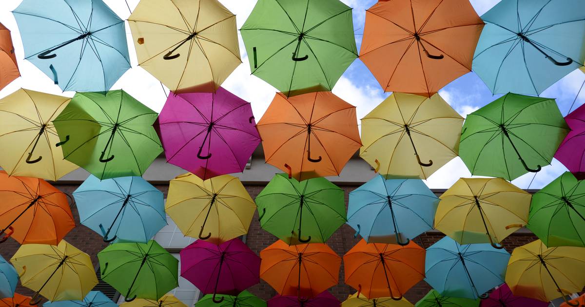 Photos Umbrella Sky in Elmhurst Shaw Local