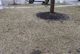 Thunderstorm watch for Grundy and Kendall counties