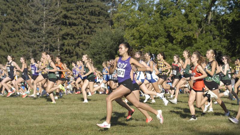 Sauk Valley Athlete of the Week: Dixon’s Daniela Lovett