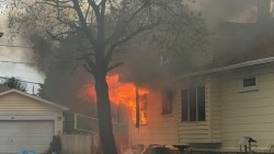 2 dogs die in Joliet house fire