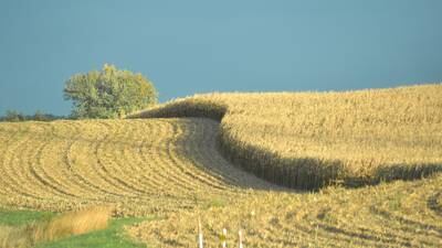 Crop marketing outlook program Nov. 15 in Rock Falls