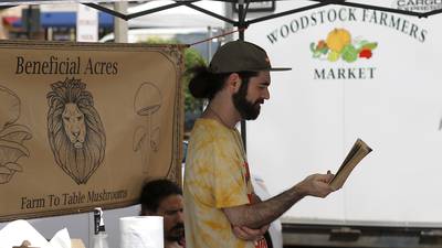 Photos: Woodstock's Tuesday Farmers Market
