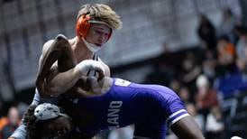 Sandwich puts a damper on Plano’s senior night with 43-31 victory