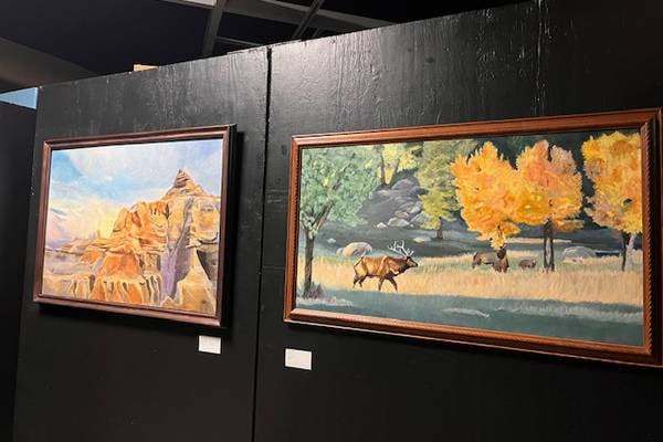 Spring art show underway at Byron Museum of History
