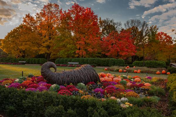 Celebrate the beauty of September at Cantigny Park in Wheaton 