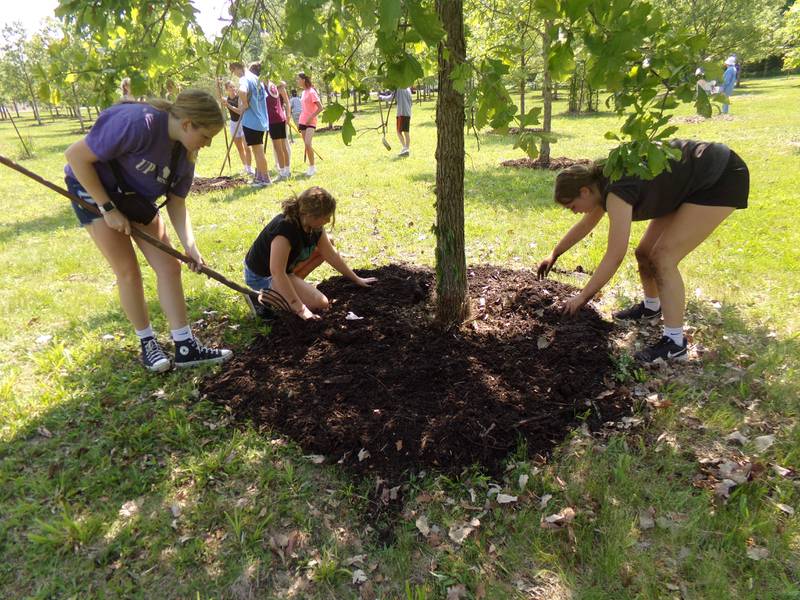 Milton Pope eighth graders Brooke Durkee, Bella Borowski and Madelyn Hedge help spread mulch Wednesday, May 24, 2023, at the Illinois Fallen Soldiers Tree Memorial at Illini Park in Marseilles.
