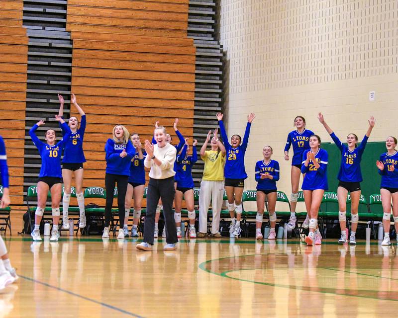 Lyons Township celebrates a match point game during the regional title game while taking on York on Thursday Oct. 30, 2025, held at York High School.