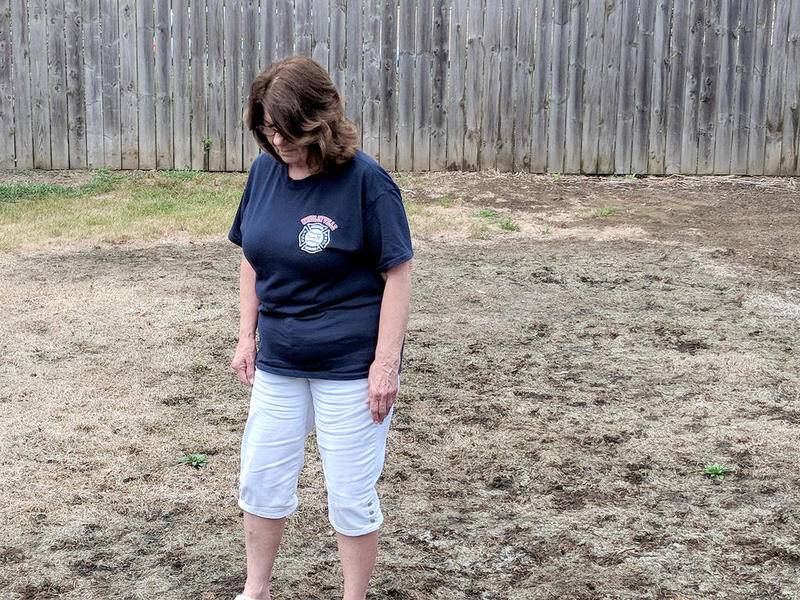 Homeowners near Glen Ellyn search for answers following damage to lawns