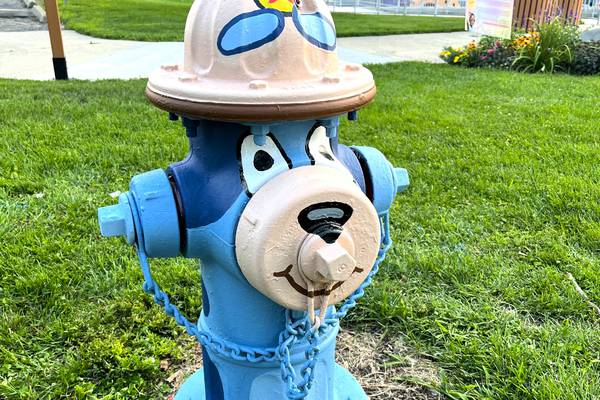 City of DeKalb solicits Paint-A-Plug program applications