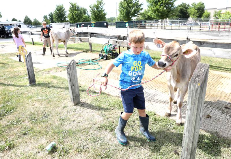 Ryan Lind, 9, of Maple Park leads a calf as his brother, Thomas, 15, and sister, Elizabeth, 12, give another calf a bath during opening day at the Kane County Fair on Wednesday, July 13, 2022.